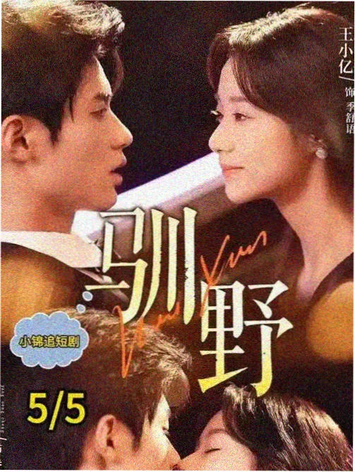 长夜回声 编辑精选